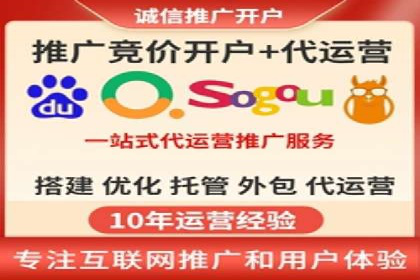 SEM推广实战：成功案例剖析